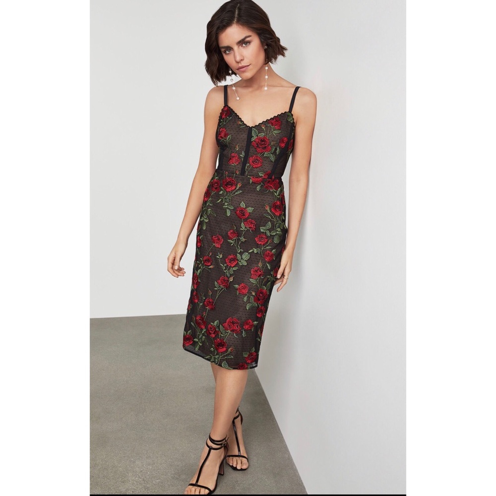 NWT BCBGMAXAZRIA | Floral Embroidered Dress